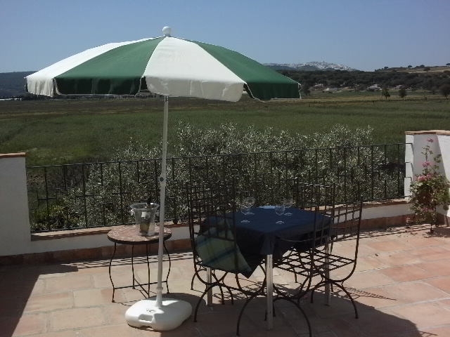Ptoto of patio and table and view of vejer